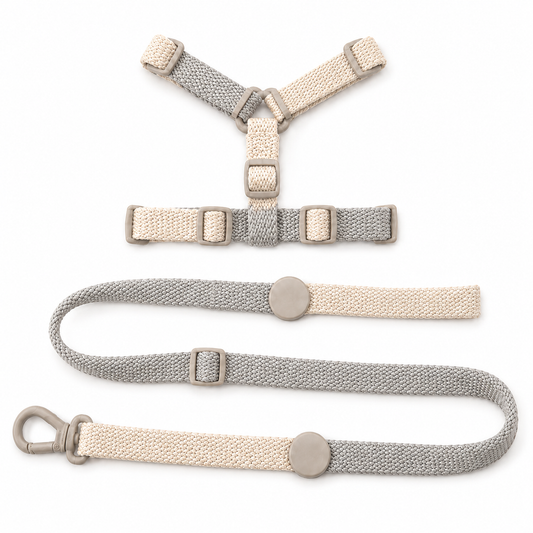 Adjustable Dog Harness and Lead Set – Soft Breathable Walking Harness with Matching Lead for Small Dogs