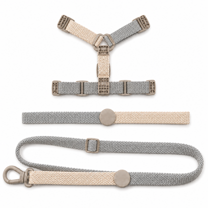 Adjustable Dog Harness and Lead Set – Soft Breathable Walking Harness with Matching Lead for Small Dogs